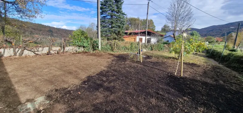 Comment transformer votre jardin en un espace accueillant et verdoyant à Pamiers?