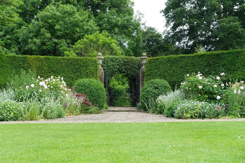 Entretien de jardin <span>& Abattage d’arbre</span>